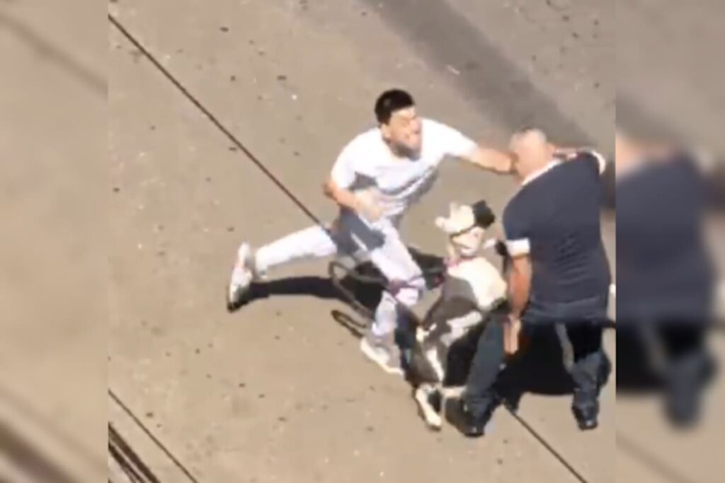 Ataque brutal en parque de Bucaramanga: hombre golpeado y mordido por pitbulls sin bozal