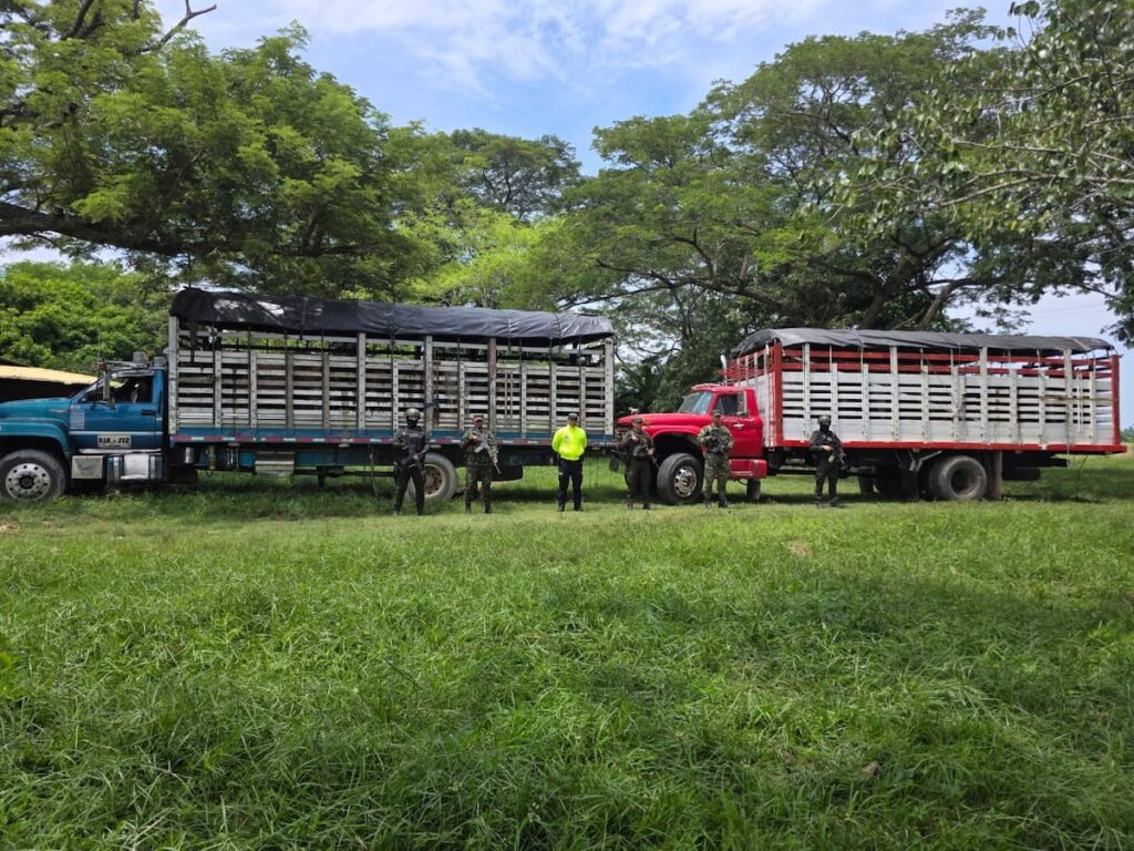Ganado robado en Sabana de Torres reaparece en Rionegro