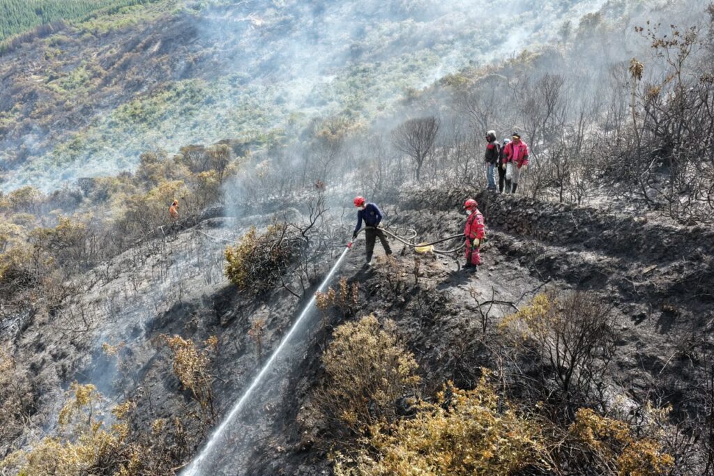 Incendio en Páramo de Santurbán: cuatro días de devastación.