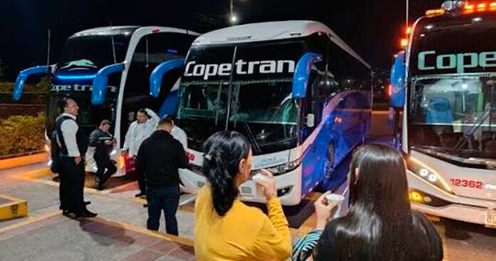 buses.jpg